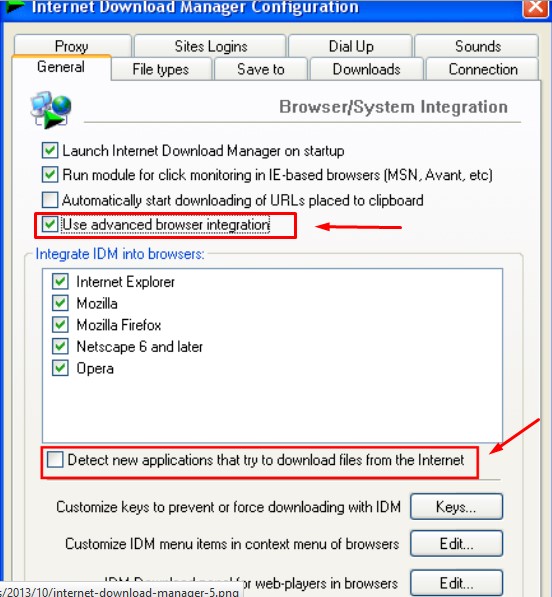 Internet Download Manager Setup2013