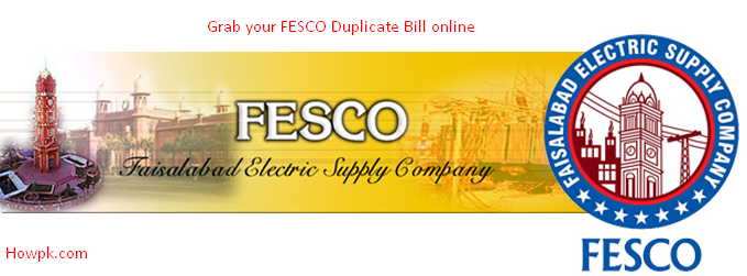 fescoonlinebillview