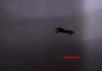 Flying Horse Seen in Makkah - Watch full video [howpk.com]