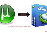 How to Download Torrents files with IDM Directly [howpk.com]