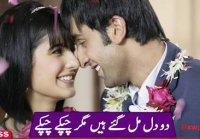 Ranbir Kapoor and Katrina Kaif got engaged Secretly [howpk.com]