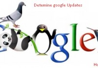 3 ways to determine Google Algorithm Updates [howpk.com]