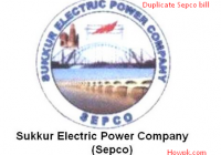 Check SEPCO bill online - Print and Download Sukkur Duplicate bill [howpk.com]