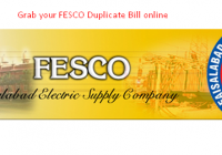 Check FESCO Bill online - Download FESCO Duplicate Bill online free [howpk.com]