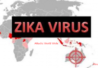 Zika Virus a Viral Infection spreading by bite of Mosquito [howpk.com]