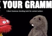 5 Best Grammar Checking tools for content writers [howpk.com]