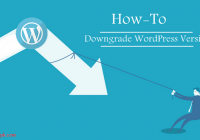 Downgrade WordPress version without losing content