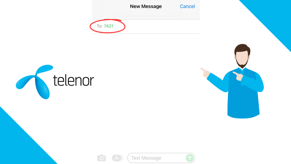 Telenor Number Checking Code for SMS